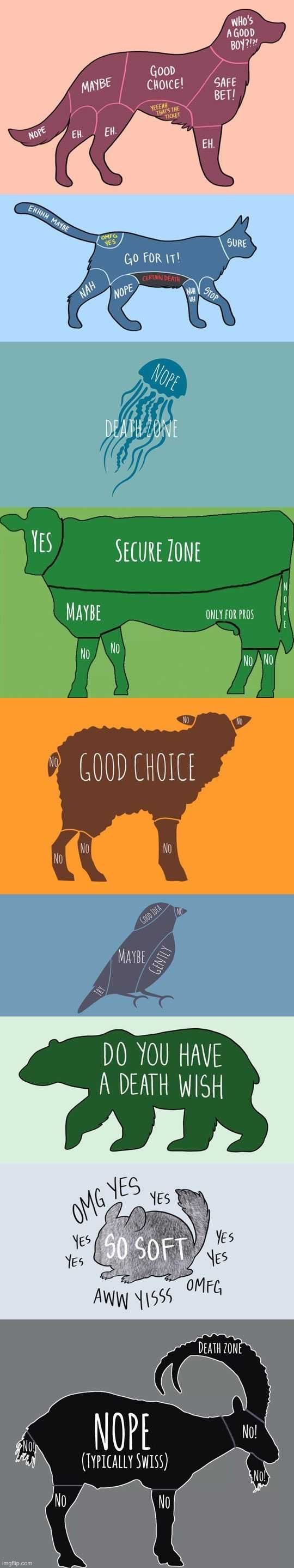 Where you should or shouldn’t touch animals | image tagged in memes,funny,comics/cartoons | made w/ Imgflip meme maker