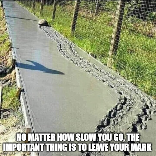 No matter how slow you go, the important thing is to leave your mark |  NO MATTER HOW SLOW YOU GO, THE IMPORTANT THING IS TO LEAVE YOUR MARK | image tagged in turtle,turtle meme | made w/ Imgflip meme maker