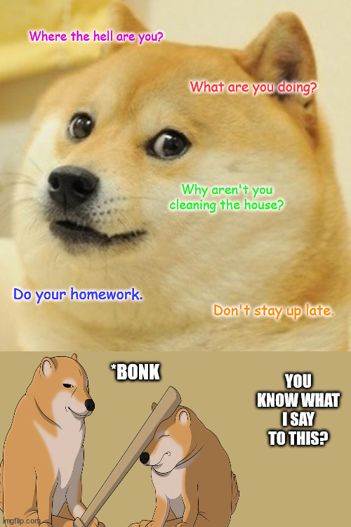 Doge | Where the hell are you? What are you doing? Why aren't you cleaning the house? Do your homework. Don't stay up late. YOU KNOW WHAT I SAY TO THIS? *BONK | image tagged in memes,doge | made w/ Imgflip meme maker