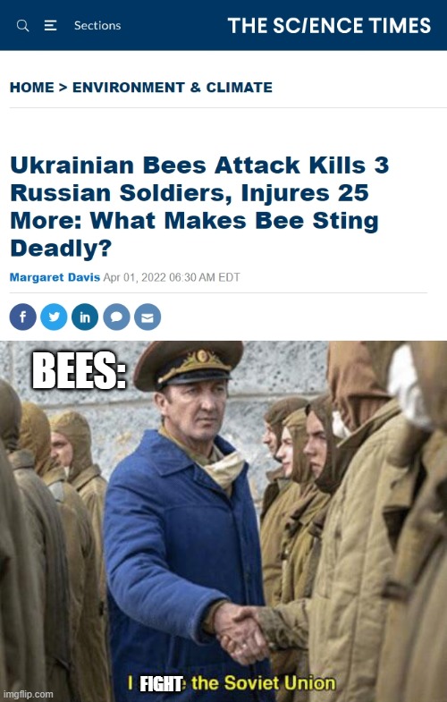 Bees know | BEES:; FIGHT | image tagged in i serve the soviet union | made w/ Imgflip meme maker