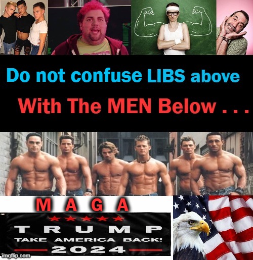 LIBS vs MEN--My Money Is On The MEN! | Do not confuse; M   A   G   A | image tagged in politics,liberals vs conservatives,boys vs men,donald trump,maga,take america back | made w/ Imgflip meme maker
