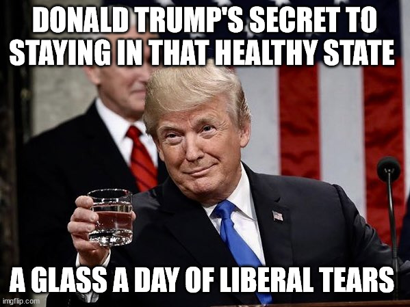 Liberal Tears | DONALD TRUMP'S SECRET TO STAYING IN THAT HEALTHY STATE A GLASS A DAY OF LIBERAL TEARS | image tagged in liberal tears | made w/ Imgflip meme maker