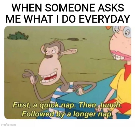 What I do Everyday | WHEN SOMEONE ASKS ME WHAT I DO EVERYDAY | image tagged in narcolepsy,humor,i need sleep | made w/ Imgflip meme maker