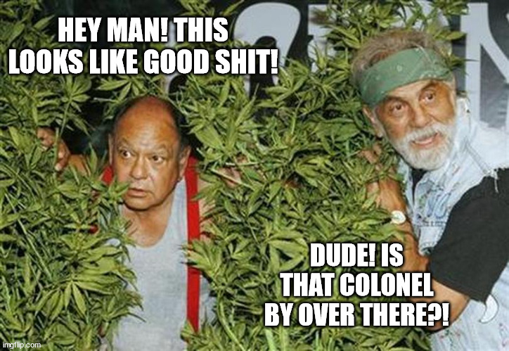 Bytown Buds | HEY MAN! THIS LOOKS LIKE GOOD SHIT! DUDE! IS THAT COLONEL BY OVER THERE?! | image tagged in bytown museum,bytown,cannabis,ottawa,cheech and chong | made w/ Imgflip meme maker