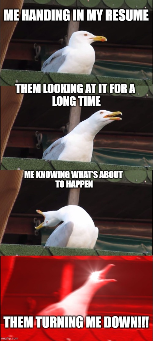 Anyone who's ever had a job | ME HANDING IN MY RESUME; THEM LOOKING AT IT FOR A 
LONG TIME; ME KNOWING WHAT'S ABOUT 
TO HAPPEN; THEM TURNING ME DOWN!!! | image tagged in memes,inhaling seagull | made w/ Imgflip meme maker