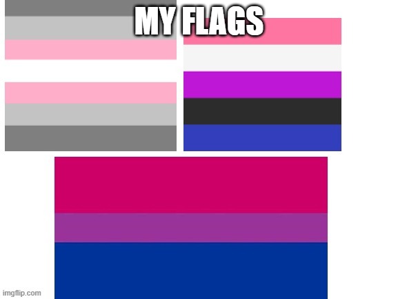 MY FLAGS | made w/ Imgflip meme maker