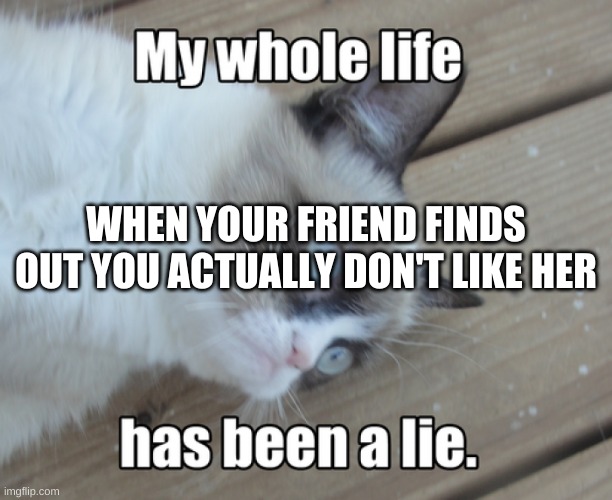 my whole life has been a lie | WHEN YOUR FRIEND FINDS OUT YOU ACTUALLY DON'T LIKE HER | image tagged in my whole life has been a lie | made w/ Imgflip meme maker