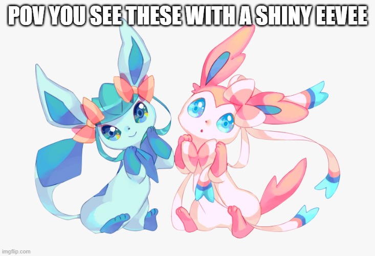 CUTIES (Crystal and Rya) | POV YOU SEE THESE WITH A SHINY EEVEE | image tagged in eevee | made w/ Imgflip meme maker