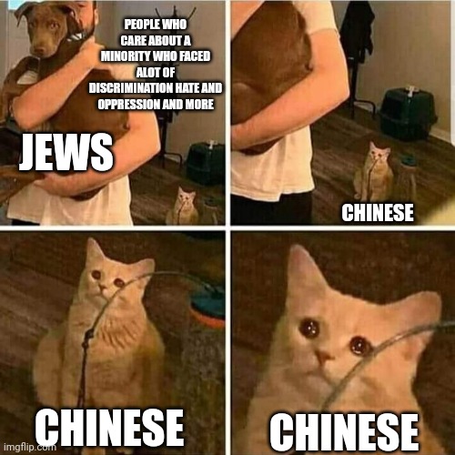 If you think the Jews we're the only one who had it rough | PEOPLE WHO CARE ABOUT A MINORITY WHO FACED ALOT OF DISCRIMINATION HATE AND OPPRESSION AND MORE; JEWS; CHINESE; CHINESE; CHINESE | image tagged in sad cat holding dog | made w/ Imgflip meme maker