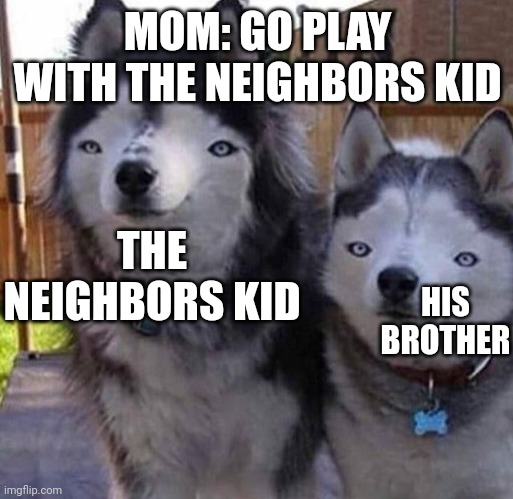 I EAT GLLUUUUEUEEEE!!!! | MOM: GO PLAY WITH THE NEIGHBORS KID; THE NEIGHBORS KID; HIS BROTHER | image tagged in wierd dogs,relatable,neighbors | made w/ Imgflip meme maker