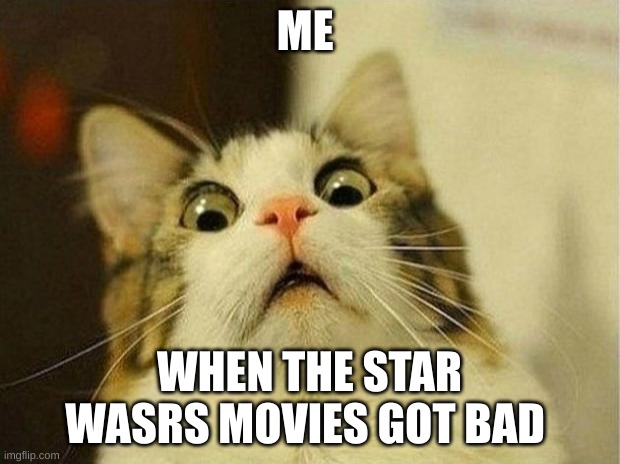Scared Cat | ME; WHEN THE STAR WASRS MOVIES GOT BAD | image tagged in memes,scared cat,star wars | made w/ Imgflip meme maker