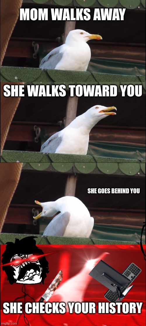 Inhaling Seagull Meme | MOM WALKS AWAY; SHE WALKS TOWARD YOU; SHE GOES BEHIND YOU; SHE CHECKS YOUR HISTORY | image tagged in memes,inhaling seagull | made w/ Imgflip meme maker