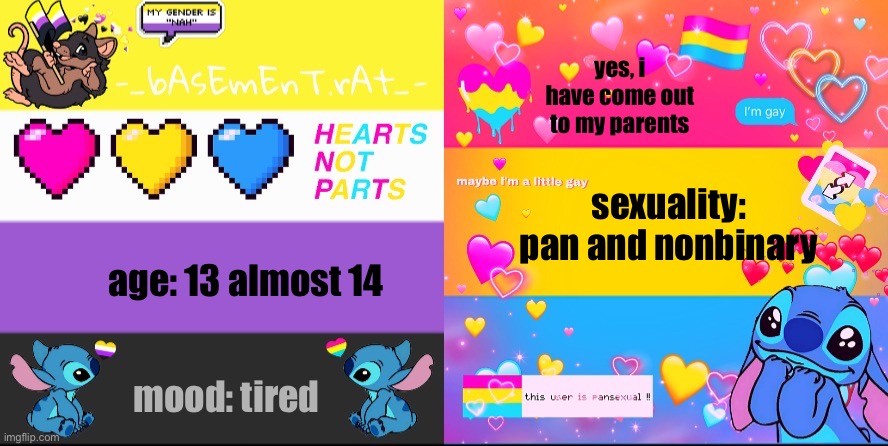 learn abt me | yes, i have come out to my parents; sexuality: pan and nonbinary; age: 13 almost 14; mood: tired | image tagged in -_basement rat_- template,gay,non binary | made w/ Imgflip meme maker