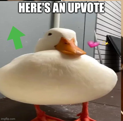 High Quality Duck giving upvote Blank Meme Template