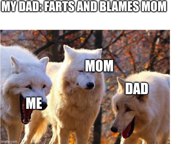 Laughing wolves | MY DAD: FARTS AND BLAMES MOM; MOM; DAD; ME | image tagged in laughing wolves | made w/ Imgflip meme maker