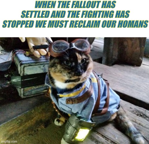 Fallout RayCat | WHEN THE FALLOUT HAS SETTLED AND THE FIGHTING HAS STOPPED WE MUST RECLAIM OUR HOMANS | image tagged in fallout raycat,when the fallout has settled | made w/ Imgflip meme maker