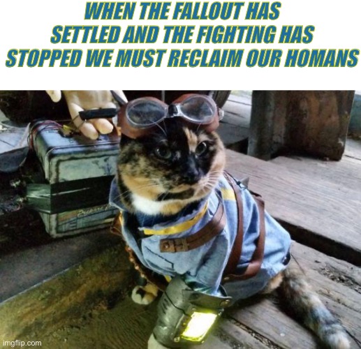 Fallout RayCat | WHEN THE FALLOUT HAS SETTLED AND THE FIGHTING HAS STOPPED WE MUST RECLAIM OUR HOMANS | image tagged in fallout raycat | made w/ Imgflip meme maker