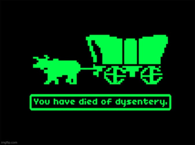 you have died of dysentery | image tagged in you have died of dysentery | made w/ Imgflip meme maker