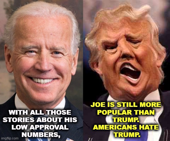Americans will vote against Trump-endorsed candidates. | WITH ALL THOSE 
STORIES ABOUT HIS 
LOW APPROVAL 
NUMBERS, JOE IS STILL MORE 
POPULAR THAN 
TRUMP. 
AMERICANS HATE 
TRUMP. | image tagged in biden smile trump crazy acid,biden,more,popular,trump,less | made w/ Imgflip meme maker