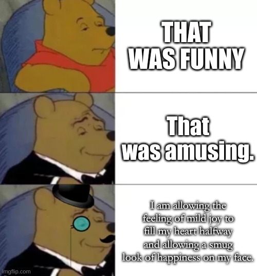 fANcY | THAT WAS FUNNY; That was amusing. I am allowing the feeling of mild joy to fill my heart halfway and allowing a smug look of happiness on my face. | image tagged in fancy pooh | made w/ Imgflip meme maker