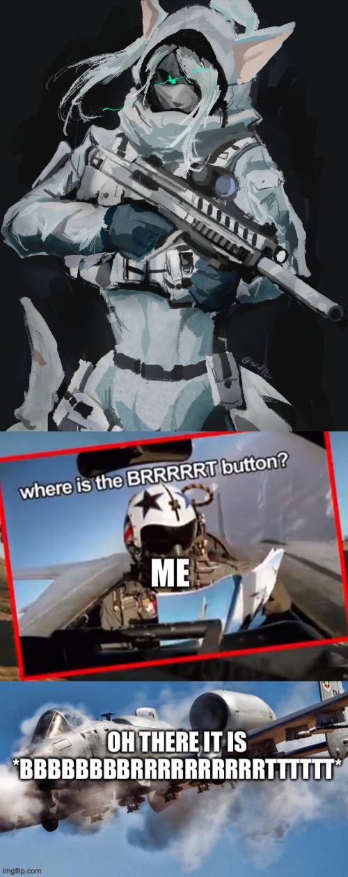 image tagged in furry soldier,where brrt | made w/ Imgflip meme maker