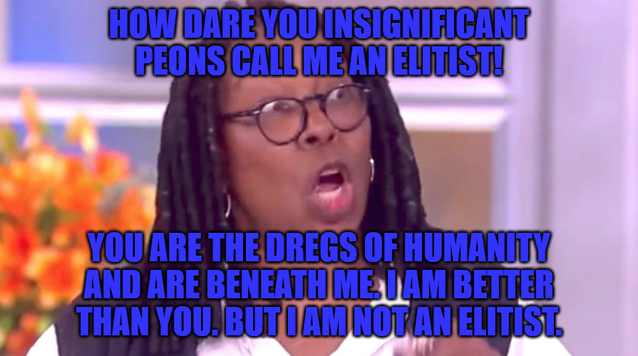 Whoopi the Elite | HOW DARE YOU INSIGNIFICANT PEONS CALL ME AN ELITIST! YOU ARE THE DREGS OF HUMANITY AND ARE BENEATH ME. I AM BETTER THAN YOU. BUT I AM NOT AN ELITIST. | image tagged in deranged whoopi | made w/ Imgflip meme maker