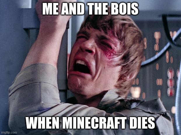 *me and the boys sad* | ME AND THE BOIS; WHEN MINECRAFT DIES | image tagged in luke nooooo | made w/ Imgflip meme maker