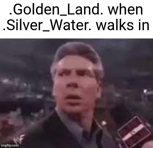 x when x walks in | .Golden_Land. when .Silver_Water. walks in | image tagged in x when x walks in | made w/ Imgflip meme maker