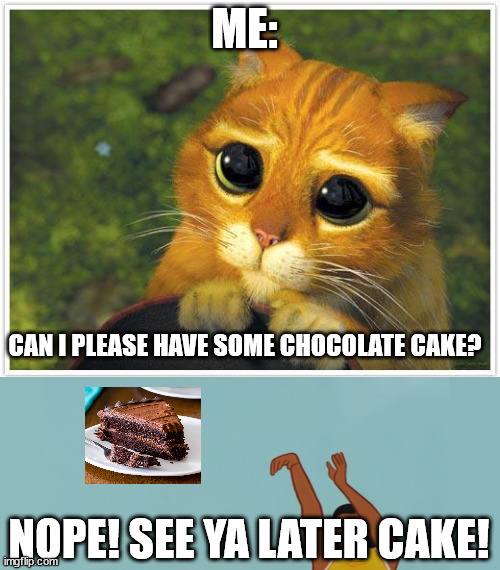 Shrek Cat Meme | ME:; CAN I PLEASE HAVE SOME CHOCOLATE CAKE? NOPE! SEE YA LATER CAKE! | image tagged in memes,shrek cat | made w/ Imgflip meme maker