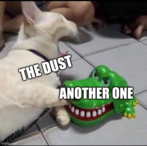 Cat bitten by toy alligator |  THE DUST; ANOTHER ONE | image tagged in cat bitten by toy alligator | made w/ Imgflip meme maker