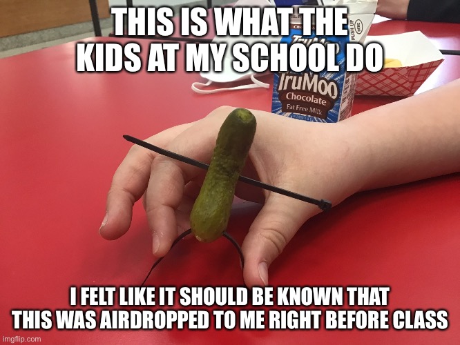 the kids at my school | THIS IS WHAT THE KIDS AT MY SCHOOL DO; I FELT LIKE IT SHOULD BE KNOWN THAT THIS WAS AIRDROPPED TO ME RIGHT BEFORE CLASS | image tagged in the kids at my school | made w/ Imgflip meme maker