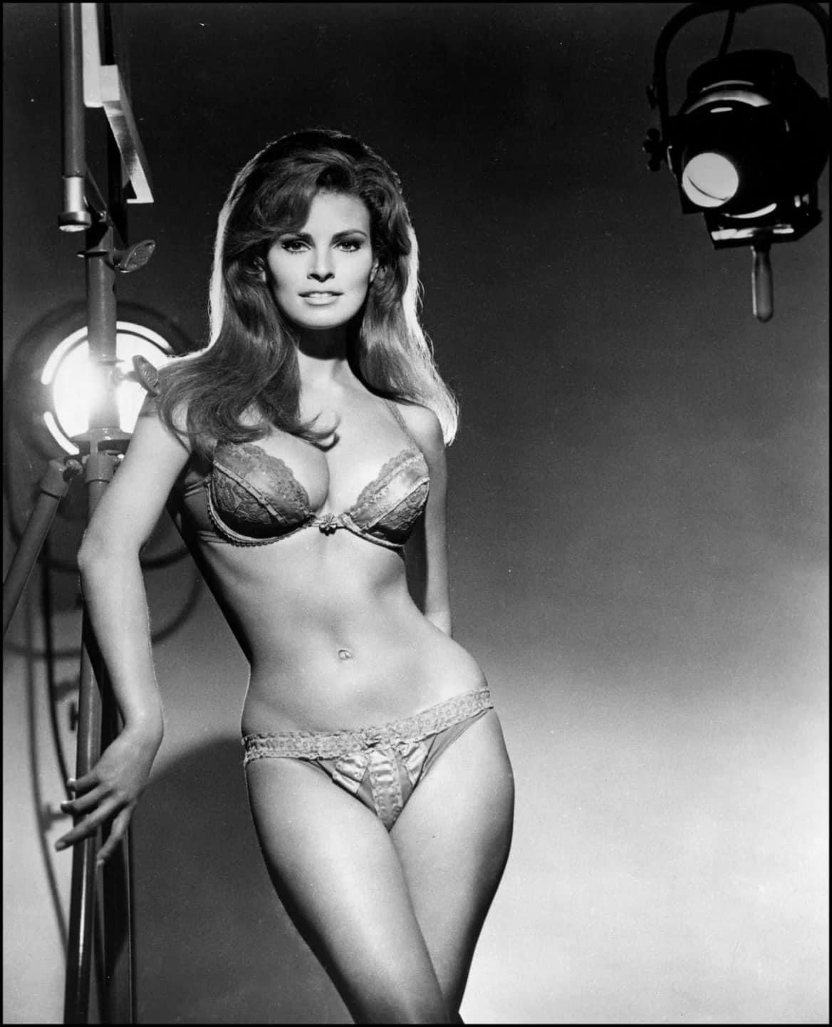 Raquel Welch Blank Meme Template