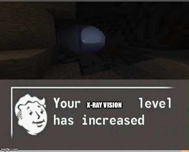 This is true cuz I usually mine in caves in the dark with no torches | X-RAY VISION | image tagged in your level has increased | made w/ Imgflip meme maker