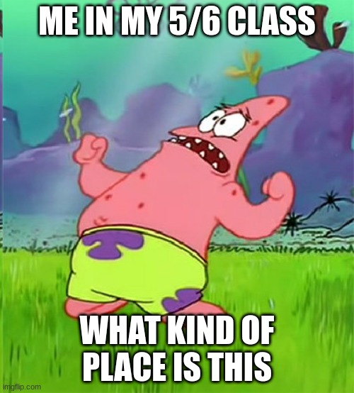 life | ME IN MY 5/6 CLASS; WHAT KIND OF PLACE IS THIS | image tagged in patrick star | made w/ Imgflip meme maker