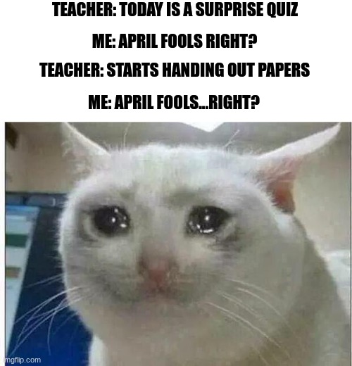 It's a joke right? | TEACHER: TODAY IS A SURPRISE QUIZ; ME: APRIL FOOLS RIGHT? TEACHER: STARTS HANDING OUT PAPERS; ME: APRIL FOOLS...RIGHT? | image tagged in crying cat,april fools | made w/ Imgflip meme maker
