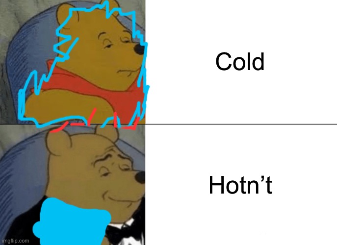 Yes | Cold; Hotn’t | image tagged in memes,tuxedo winnie the pooh,cold,hot | made w/ Imgflip meme maker