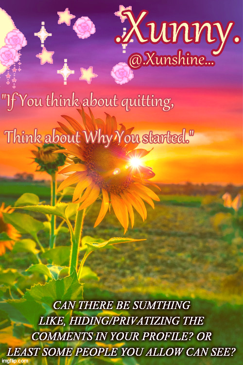 or view Comments from diff streams? | CAN THERE BE SUMTHING LIKE, HIDING/PRIVATIZING THE COMMENTS IN YOUR PROFILE? OR LEAST SOME PEOPLE YOU ALLOW CAN SEE? | image tagged in xunn | made w/ Imgflip meme maker
