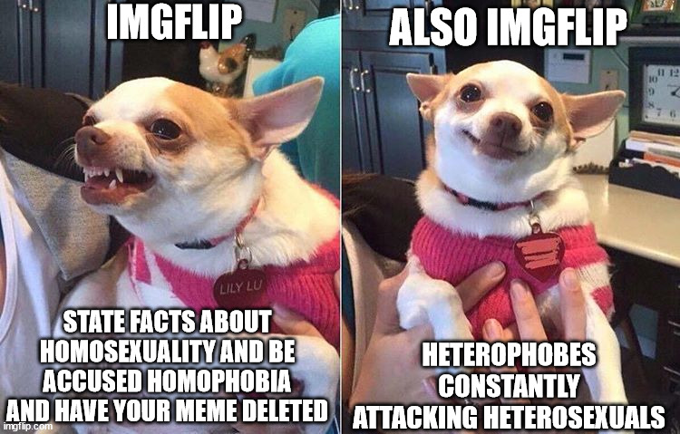 angry dog meme | IMGFLIP; ALSO IMGFLIP; STATE FACTS ABOUT HOMOSEXUALITY AND BE ACCUSED HOMOPHOBIA AND HAVE YOUR MEME DELETED; HETEROPHOBES CONSTANTLY ATTACKING HETEROSEXUALS | image tagged in angry dog meme | made w/ Imgflip meme maker