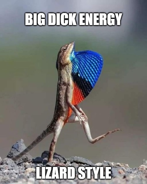  BIG DICK ENERGY; LIZARD STYLE | image tagged in lizard,big dick energy | made w/ Imgflip meme maker