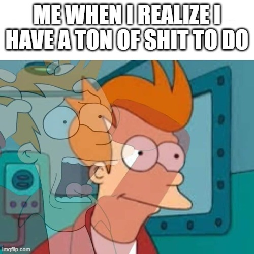 thanks Who_am_I for making this caption | ME WHEN I REALIZE I HAVE A TON OF SHIT TO DO | image tagged in fry | made w/ Imgflip meme maker