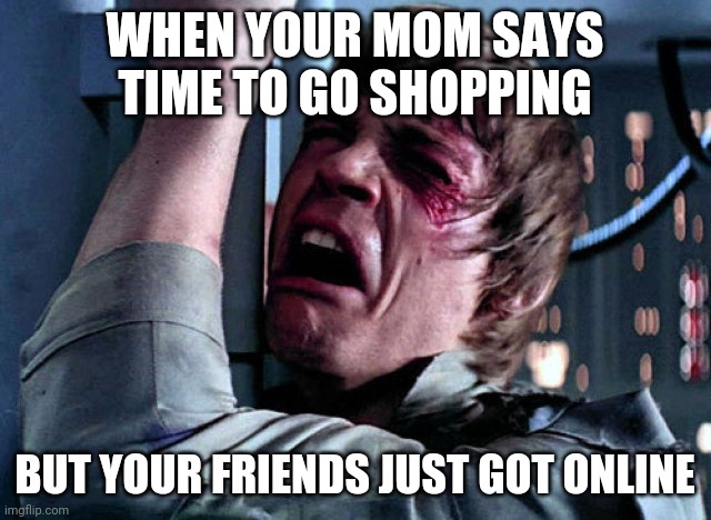 Super true | WHEN YOUR MOM SAYS TIME TO GO SHOPPING; BUT YOUR FRIENDS JUST GOT ONLINE | image tagged in nooo | made w/ Imgflip meme maker