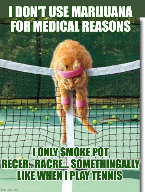 This #lolcat wonders how many people actually smoke marijuana pure for medical reasons | I DON'T USE MARIJUANA 
FOR MEDICAL REASONS; I ONLY SMOKE POT RECER.. RACRE... SOMETHINGALLY
LIKE WHEN I PLAY TENNIS | image tagged in lolcat,legalize weed,legalize it,marijuana,pot | made w/ Imgflip meme maker