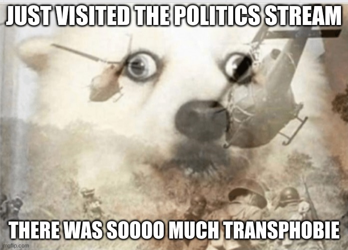 im scared :') | JUST VISITED THE POLITICS STREAM; THERE WAS SOOOO MUCH TRANSPHOBIE | image tagged in ptsd dog,transgender,trans rights | made w/ Imgflip meme maker