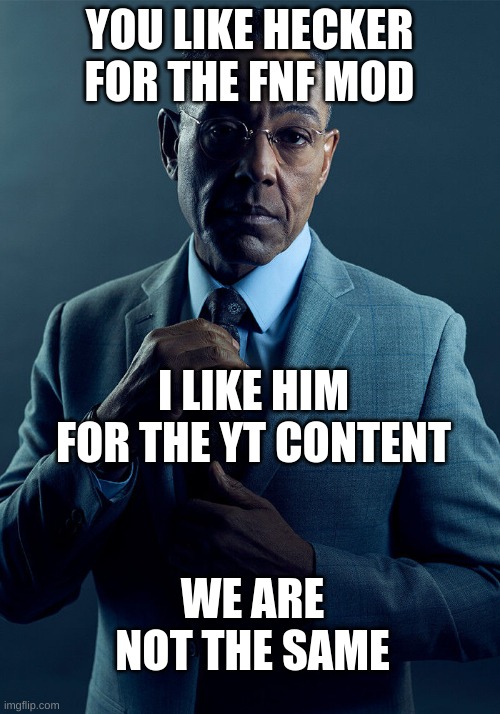 Gus Fring we are not the same | YOU LIKE HECKER FOR THE FNF MOD; I LIKE HIM FOR THE YT CONTENT; WE ARE NOT THE SAME | image tagged in gus fring we are not the same | made w/ Imgflip meme maker