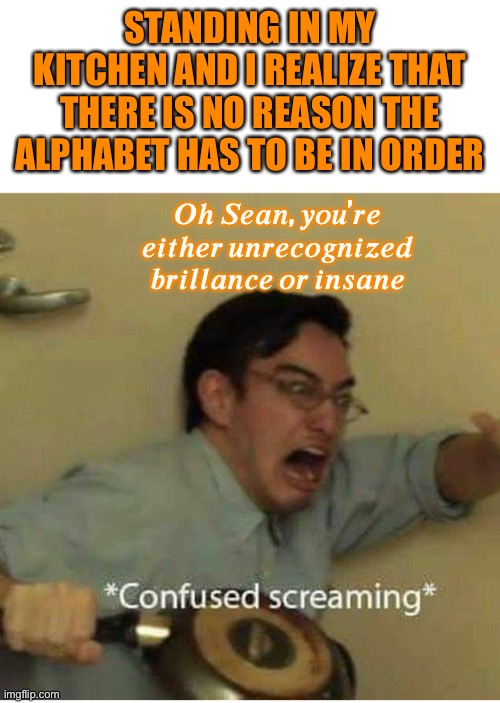 Brilliant or insane | STANDING IN MY KITCHEN AND I REALIZE THAT THERE IS NO REASON THE ALPHABET HAS TO BE IN ORDER; 𝑶𝒉 𝑺𝒆𝒂𝒏, 𝒚𝒐𝒖’𝒓𝒆 𝒆𝒊𝒕𝒉𝒆𝒓 𝒖𝒏𝒓𝒆𝒄𝒐𝒈𝒏𝒊𝒛𝒆𝒅 𝒃𝒓𝒊𝒍𝒍𝒂𝒏𝒄𝒆 𝒐𝒓 𝒊𝒏𝒔𝒂𝒏𝒆 | image tagged in confused screaming | made w/ Imgflip meme maker