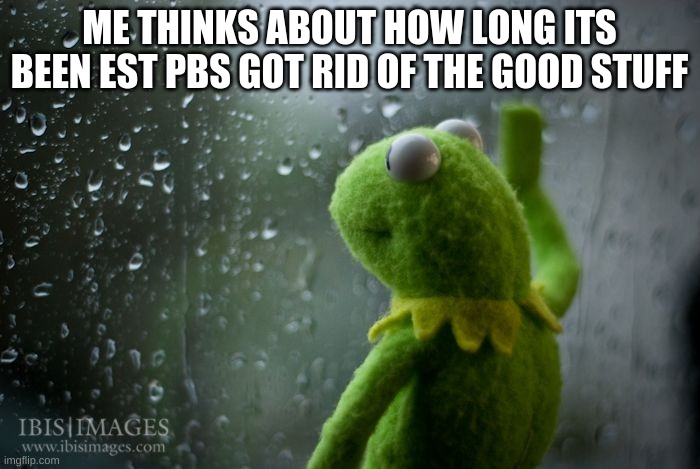 ME THINKS ABOUT HOW LONG ITS BEEN EST PBS GOT RID OF THE GOOD STUFF | image tagged in kermit window | made w/ Imgflip meme maker