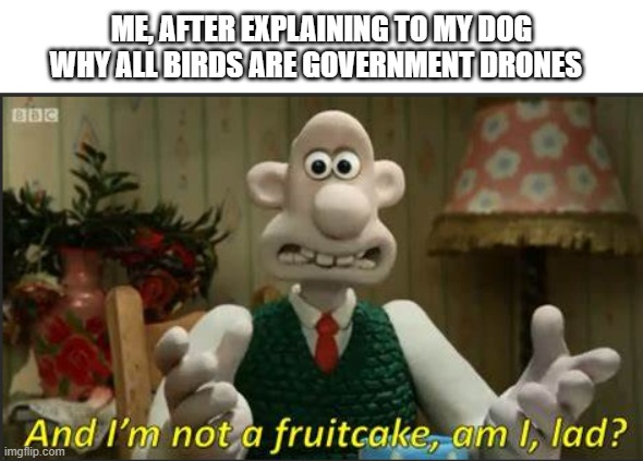 ME, AFTER EXPLAINING TO MY DOG WHY ALL BIRDS ARE GOVERNMENT DRONES | image tagged in wallace and gromit | made w/ Imgflip meme maker