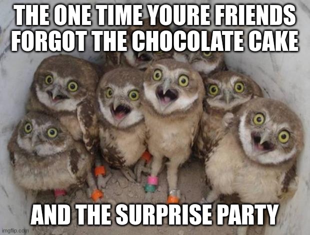 Excited Owls | THE ONE TIME YOURE FRIENDS FORGOT THE CHOCOLATE CAKE; AND THE SURPRISE PARTY | image tagged in excited owls | made w/ Imgflip meme maker