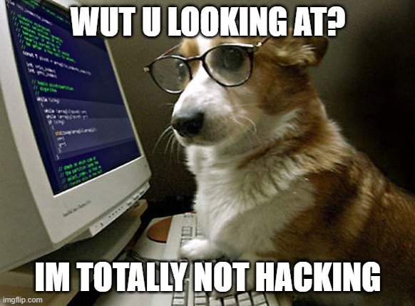 Hacker corgi | WUT U LOOKING AT? IM TOTALLY NOT HACKING | image tagged in corgi hacker | made w/ Imgflip meme maker