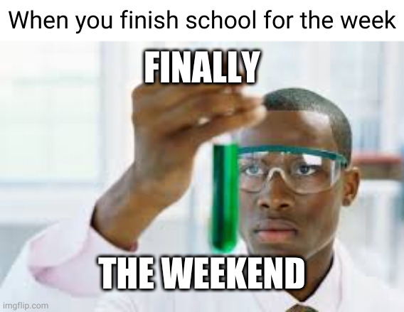 finally | When you finish school for the week; FINALLY; THE WEEKEND | image tagged in finally,the weekend,school | made w/ Imgflip meme maker